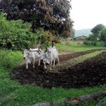 december-2016-newsletter-kotra-block